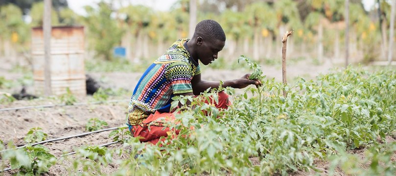 ARAF - The Acumen Resilient Agriculture Fund